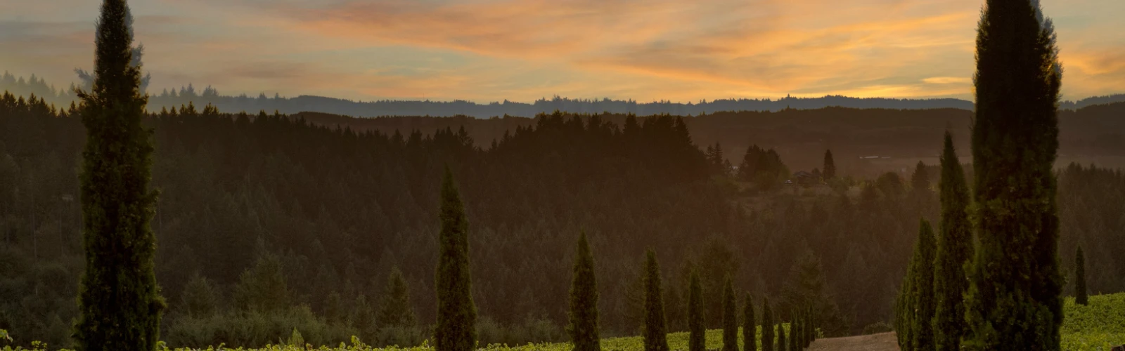 10 Best Wineries Around Portland, OR