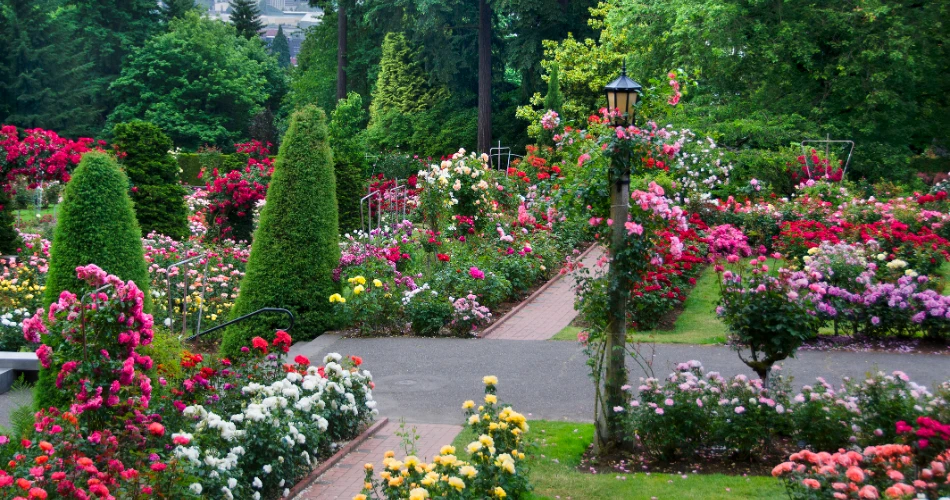 How to Spend the Perfect 48 Hours in Portland, Oregon?