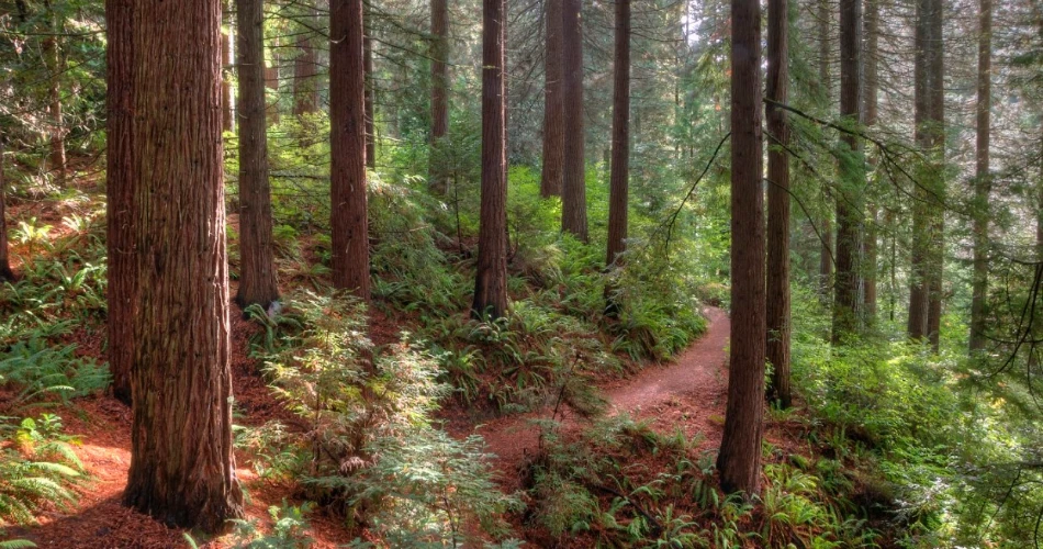 How to Spend the Perfect 48 Hours in Portland, Oregon?