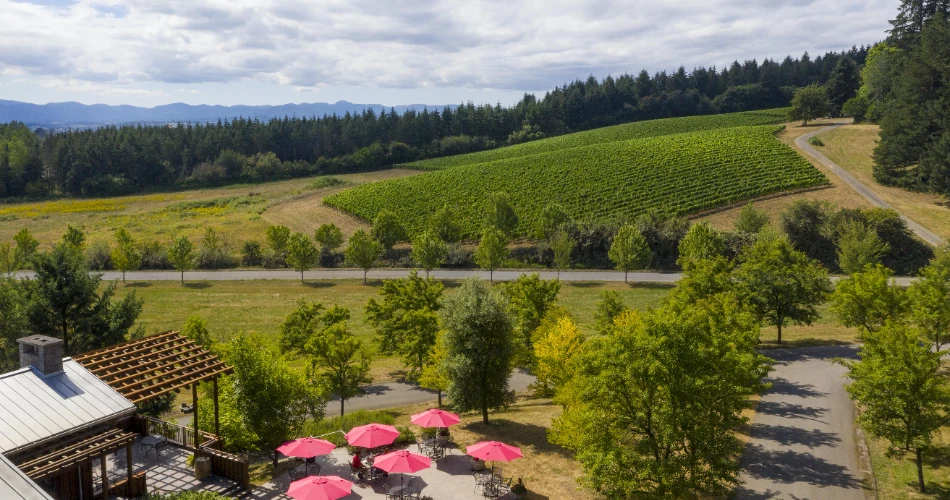 Las 10 mejores bodegas alrededor de Portland, Oregón.