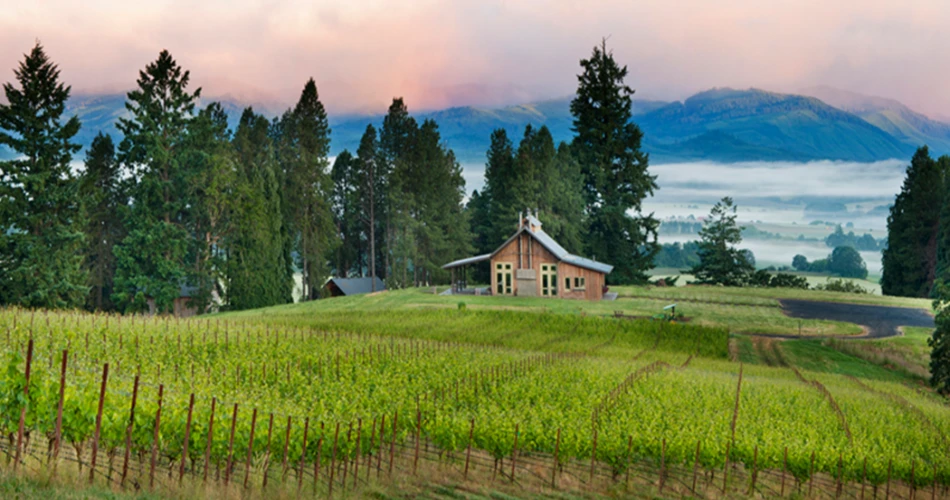 Las 10 mejores bodegas alrededor de Portland, Oregón.