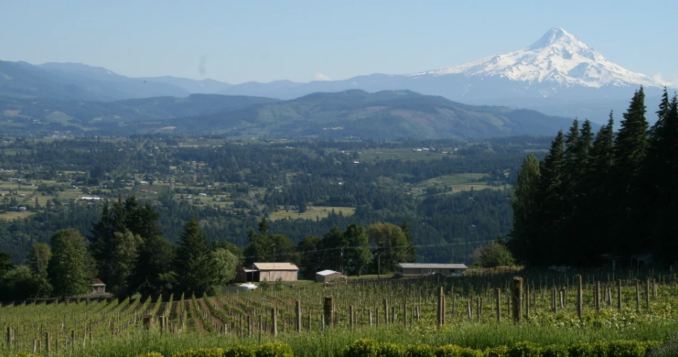 Las 10 mejores bodegas alrededor de Portland, Oregón.