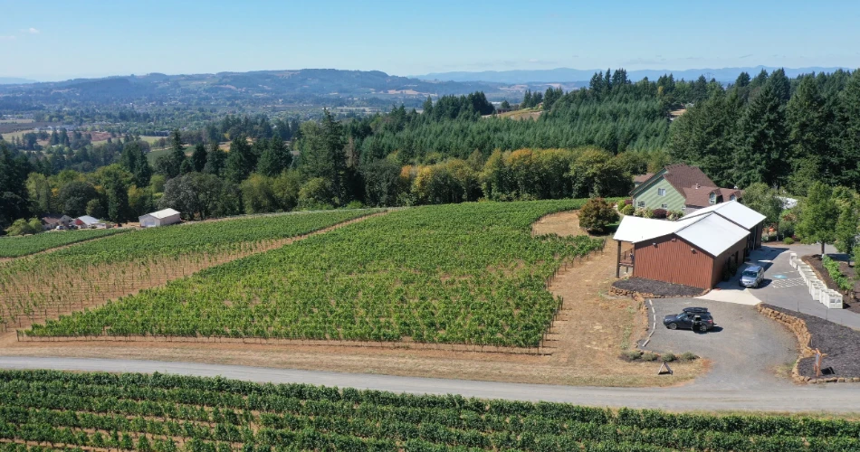 Las 10 mejores bodegas alrededor de Portland, Oregón.