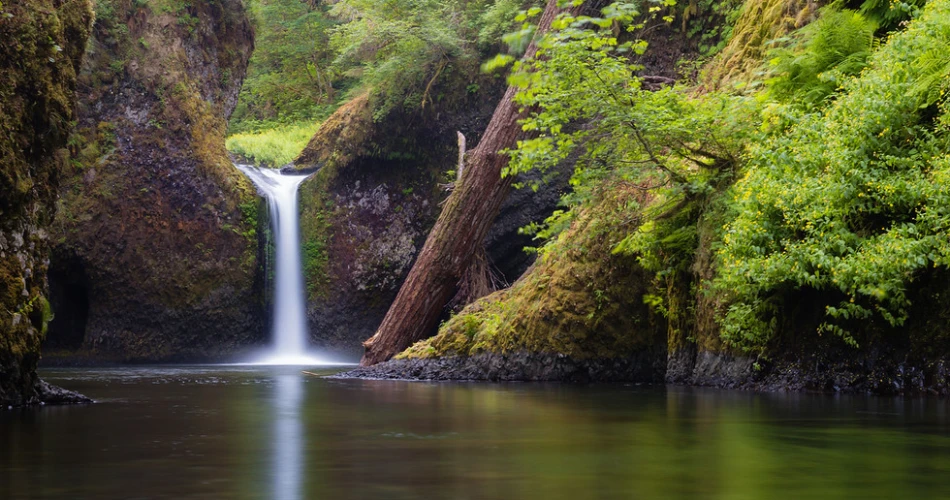 10 Best Waterfalls Near Portland, OR