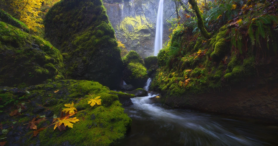 10 Best Waterfalls Near Portland, OR