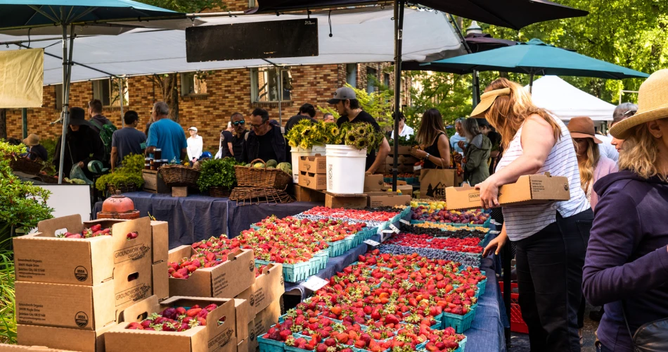 10 Mejores Lugares para Ir de Compras en Portland, OR