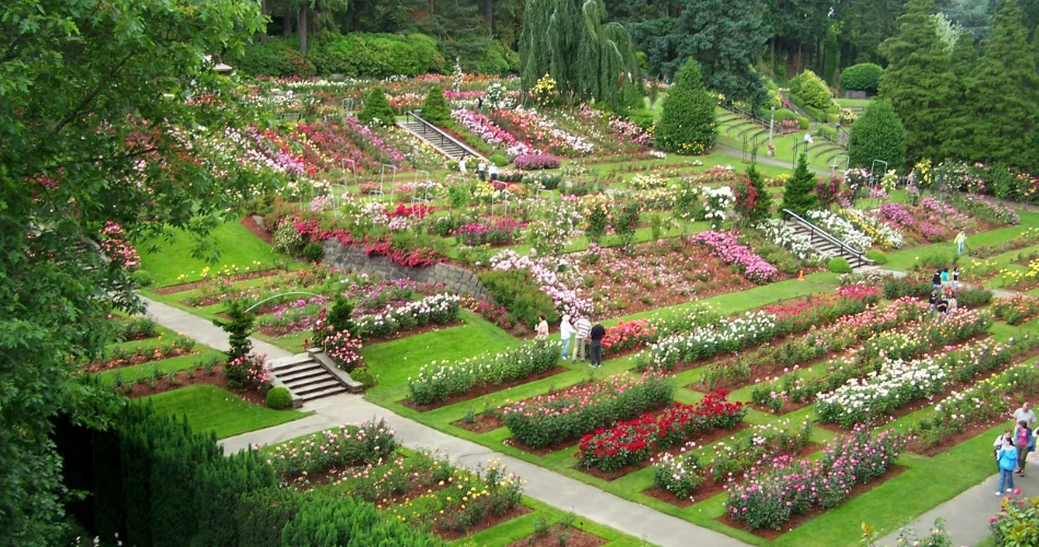 10 Mejores Actividades Familiares en Portland, OR