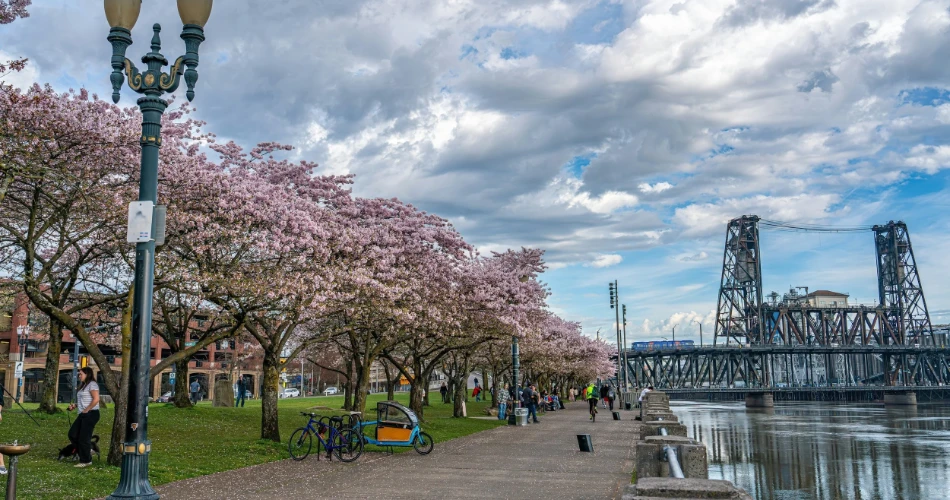 10 cosas divertidas para hacer en el centro de Portland